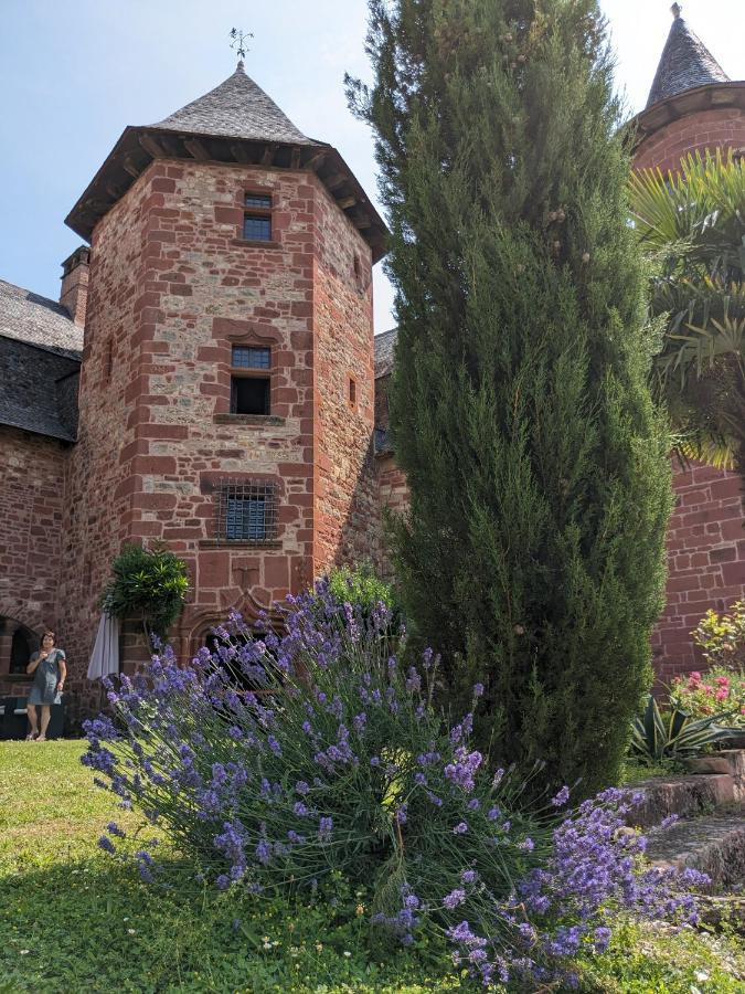 Chateau De Vassinhac Chambres D'Hotes Collonges La Rouge Ngoại thất bức ảnh